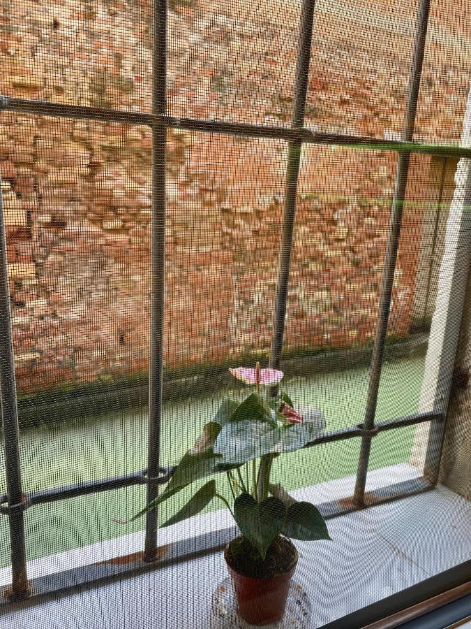Hayez Rooms Veneza Exterior foto